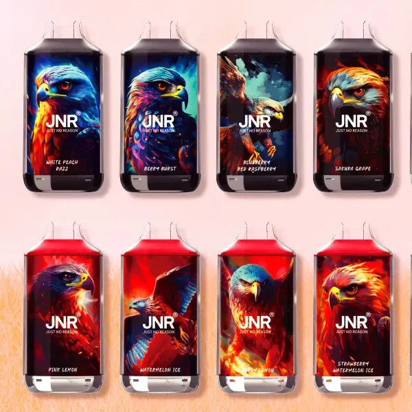 JNR FALCON 16000 Puffs Vape
