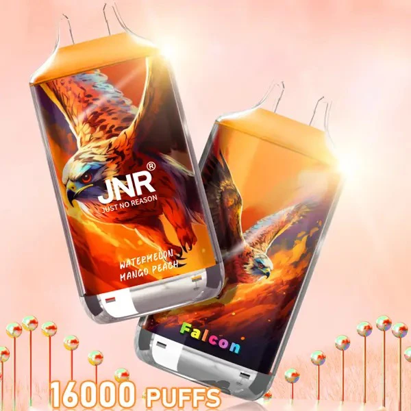 JNR FALCON 16000 Puffs Vape