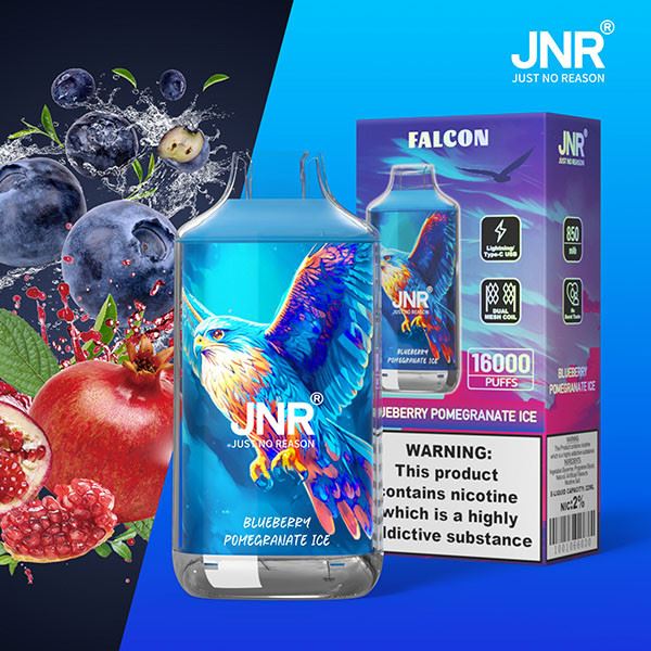 JNR FALCON 16000 Puffs Vape